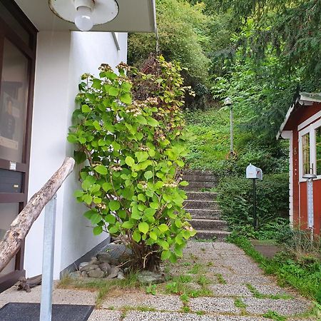 Apartamento Regio Basiliensis Grenzach-Wyhlen Exterior foto